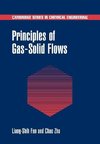 Principles of Gas-Solid Flows