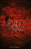 Spring - Projekt I