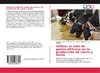 Utilizar el lodo de palma africana en la producción de carne y leche