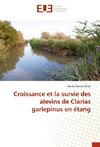 Croissance et la survie des alevins de Clarias gariepinus en étang