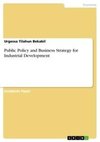 Public Policy and Business Strategy for Industrial Development