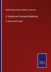 A Treatise on Frictional Electricity