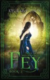 Fey (Hardback Version)