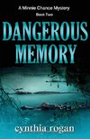 Dangerous Memory