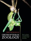 Orthopteran Zoology