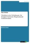 Überleben in der NS-Euthanasie. Die Königlich Sächsische Pflegeheilanstalt Großschweidnitz