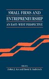 Small Firms and Entrepreneurship