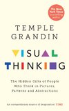 The Visual Thinker