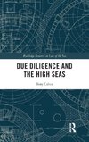 Due Diligence and the High Seas