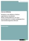 Kognition und affektives Erleben jugendlicher Amokläufer. Risiko/-Einflussfaktoren aus dem psychologischen, sozialen, pädagogischen und kriminologischen Bereich