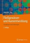 Fließgewässer- und Auenentwicklung