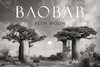 BAOBAB: Meine Reise zu den ältesten Lebewesen und Waldwächtern.