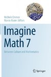 Imagine Math 7