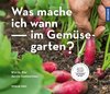 Was mache ich wann im Gemüsegarten?