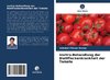 Invitro-Behandlung der Blattfleckenkrankheit der Tomate