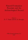 Natural Formation Processes and the Archaeological Record