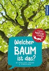 Welcher Baum ist das? Kindernaturführer