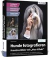 Hunde fotografieren - Kreative Bilder mit 