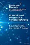 Modularity and Dynamics on Complex Networks