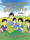 The Adventures of the Five Rabb Boys