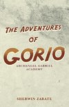 The Adventures of Gorio