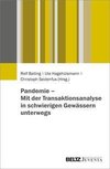 Pandemie - Mit der Transaktionsanalyse in schwierigen Gewässern unterwegs