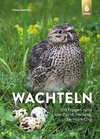 Wachteln