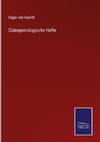 Coleopterologische Hefte