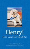 Henry! Mein Leben als Fernsehstar