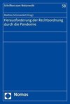 Herausforderung der Rechtsordnung durch die Pandemie