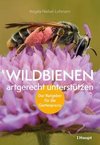 Wildbienen artgerecht unterstützen