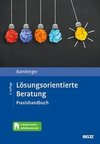 Lösungsorientierte Beratung