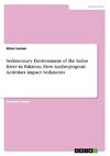 Sedimentary Environment of the Indus River in Pakistan. How Anthropogenic Activities Impact Sediments