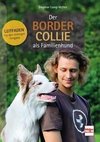 Der Border Collie als Familienhund