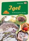 Igel Ein Kurzprojekt für die Kita