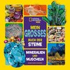 Mein großes Buch der Steine, Mineralien und Muscheln