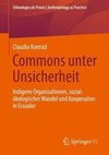 Commons unter Unsicherheit