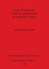 Later Pleistocene Cultural Adaptations in Sudanese Nubia