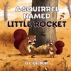 A Squirrel Named Little Rocket