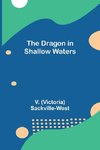 The Dragon in Shallow Waters