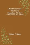 Bob Dexter and the Storm Mountain Mystery; or, The Secret of the Log Cabin