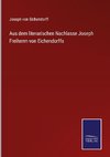 Aus dem literarischen Nachlasse Joseph Freiherrn von Eichendorffs