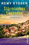 Stürmisches Lavandou