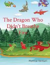 The Dragon Who Didn't Breathe Fire