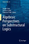 Algebraic Perspectives on Substructural Logics