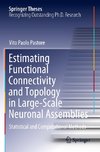 Estimating Functional Connectivity and Topology in Large-Scale Neuronal Assemblies