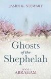 Ghosts of the Shephelah, Book 1