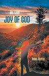 Be the Joy of God