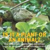 Is It a Plant or an Animal? How Do Scientists Identify Plants and Animals? | Compare and Contrast Biology Grade 3 | Children's Biology Books