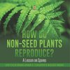 How Do Non-Seed Plants Reproduce? A Lesson on Spores | Life Cycle Books Grade 5 | Children's Biology Books